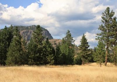 Sagebrush Tours image 2