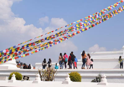 Himalayan Advisor image 3