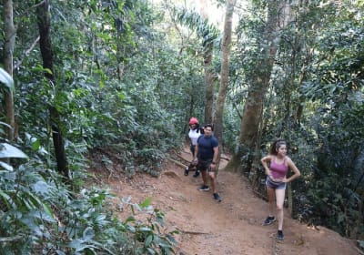Janeiro Tour & Travel image 2