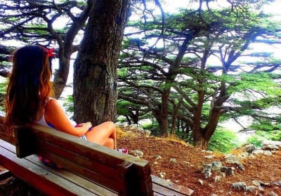 Lebanon Tours Online By Fadi Eid image 3