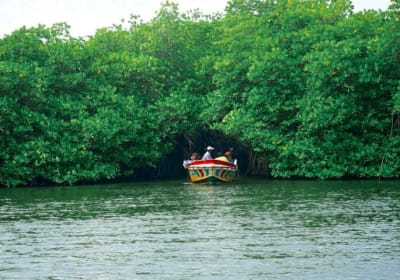Lakpura LLC (Balapitiya) image 3