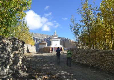 The Great Adventure Treks & Expedition - Private Day Tours image 2