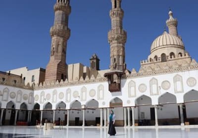 Amon Ra Tours image 2