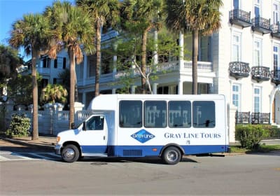 Gray Line Charleston image 2