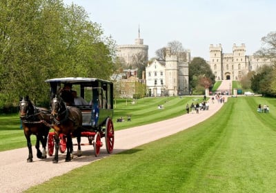 Golden Tours image 2