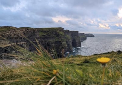 Dublux Irish Tours image 2