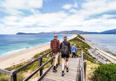 Bruny Island Safaris image 3