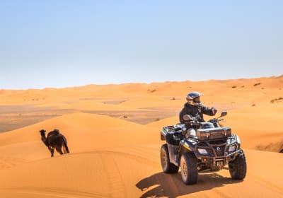 ABC Tourism LLC (ABC TOURS DUBAI) image 2