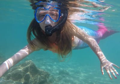 Try Snorkeling and Scuba Diving - San Juan image 2