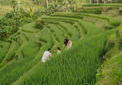 Bali Sightseeing - Rukmana Bali Tour image 2
