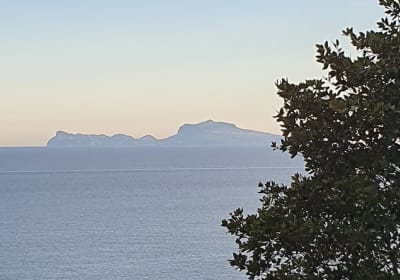 Project Napoli Service (PNS) image 1