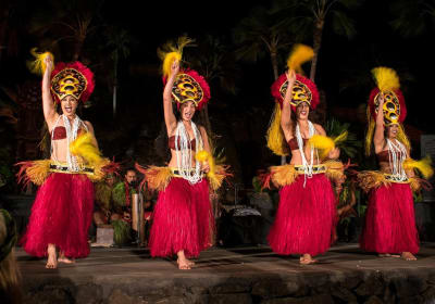 Chief's Luau image 1
