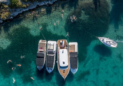 Gray Line Croatia image 2