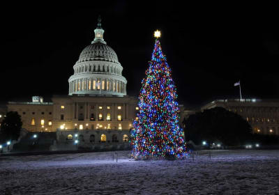 USA Guided Tours image 3