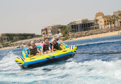 Egypt Delight Trips image 3
