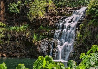 Go Tours Hawaii image 2