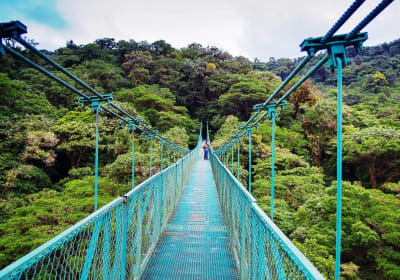 Go Tours Costa Rica image 3
