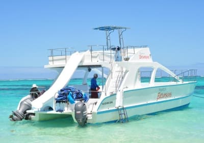 Dreams Come True Tours Punta Cana image 3