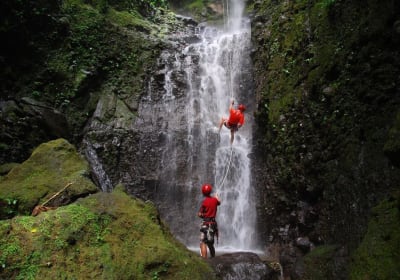 Native's Way Costa Rica - Tours and Transfers image 3