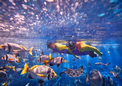 Atlantis, The Palm image 2