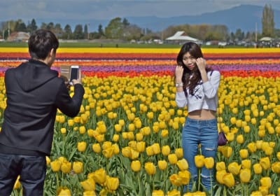 Customized Tours image 1