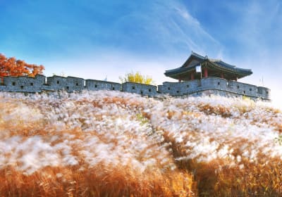 I Love Seoul Tour image 1