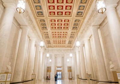 Unscripted by Guided Tours DC image 1
