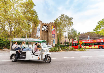 Eco Tuk Tuk image 3