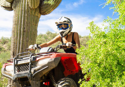 Arizona Outdoor Fun Adventures & Tours image 1