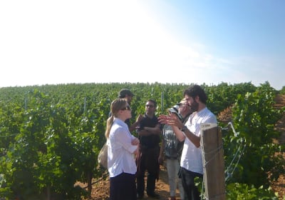 Gourmet Madrid Tours image 2