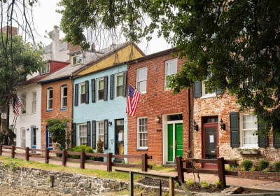 Walks Tours / Take Walks - USA image 2