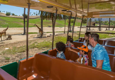 San Diego Zoo Wildlife Alliance image 2