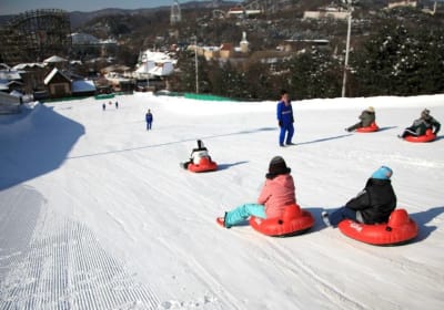 Korea Tour Cosmojin Agency image 3
