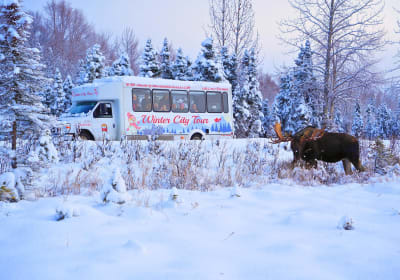Anchorage Trolley Tours image 1