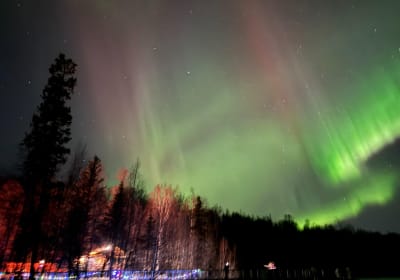 PicTours Alaska, Inc. image 1