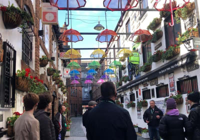 DC Tours - Belfast Walking Tours image 2