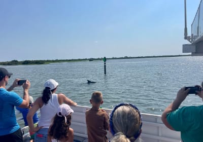 Florida Water Tours image 1