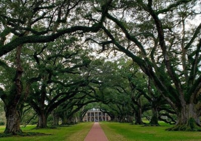 Southern Style Tours and Transportation image 2