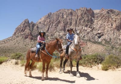 Wild West Horseback Adventures image 1