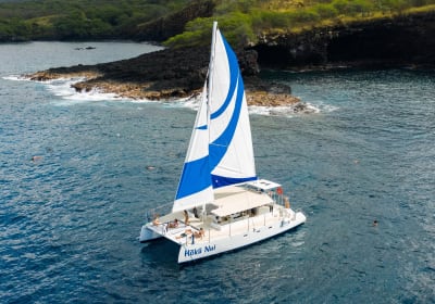 Sea Paradise image 3