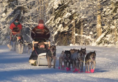 Rod's Alaskan Guide Service image 2