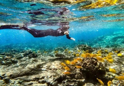 Dolphin Discoveries- Snorkel Tour Check-in and Boutique image 3