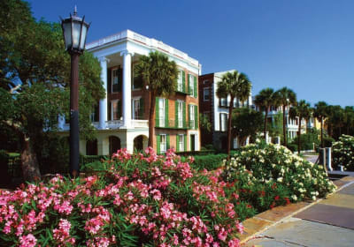 Adventure Sightseeing image 1