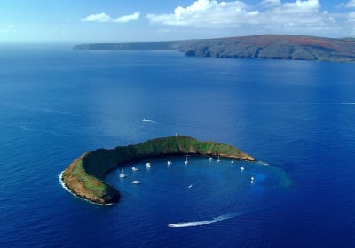 Malolo Charters image 2