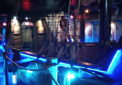 BayWatch Dolphin Tours image 3