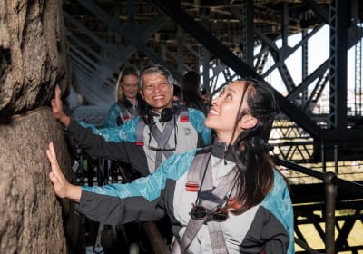 BridgeClimb Sydney image 3