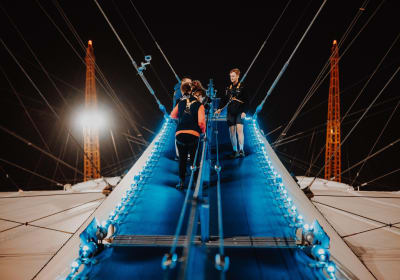 Up at The O2 image 3