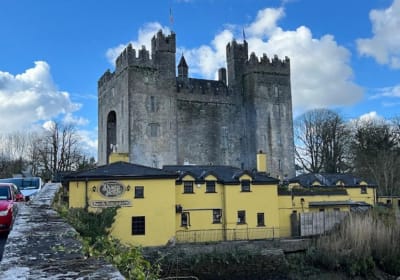 Ireland VIP Tours image 3