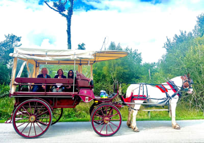 McCarthys Killarney Carriage Rides image 1
