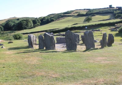 Bronze & Boru Tours image 2